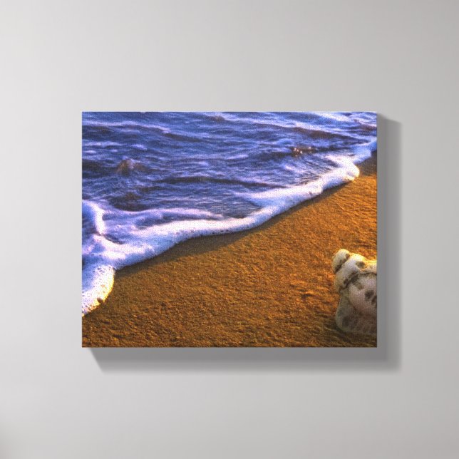 Sea Shell In Surf Zone Canvas Print (Front)