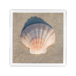 Sea Shell Laying On Sandy Beach Acrylic Tray
