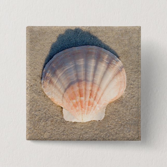 Sea Shell Laying On Sandy Beach Button (Front)