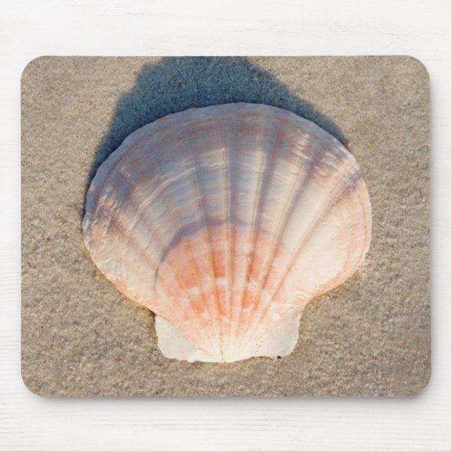 Sea Shell Laying On Sandy Beach Mouse Pad (Front)