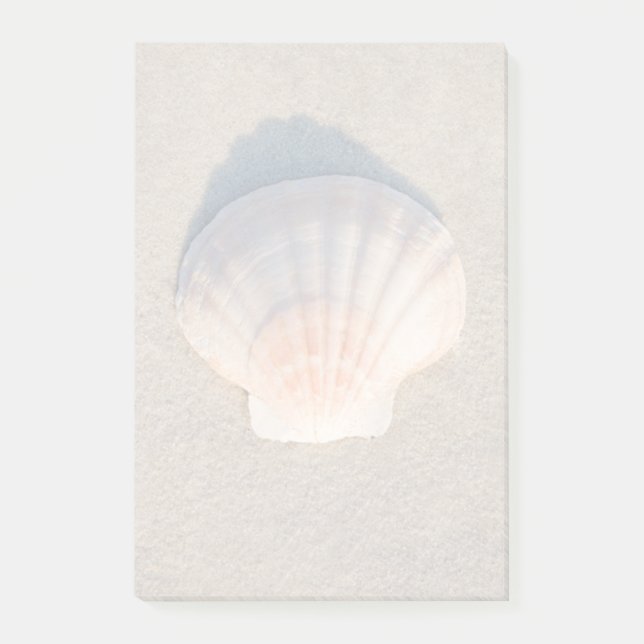 Sea Shell Laying On Sandy Beach Post-it Notes (Front)