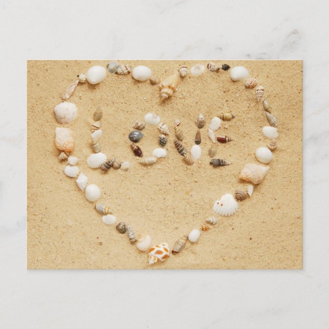 Sea Shell Love Heart Postcard (Front)