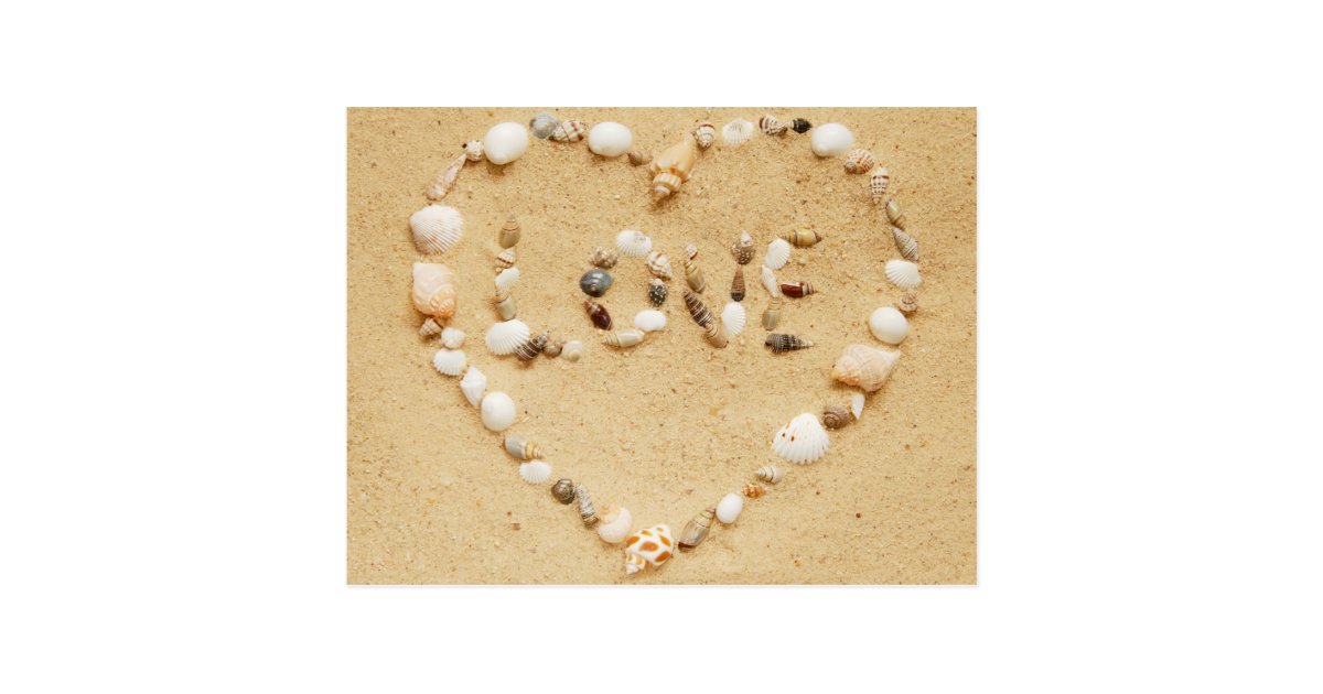 Sea Shell Love Heart Postcard Zazzle