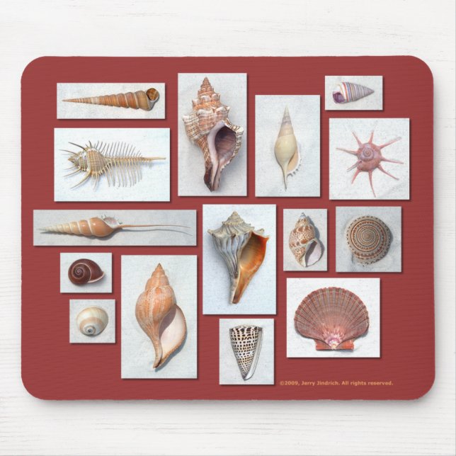 Sea Shell Mouse Pad (Front)