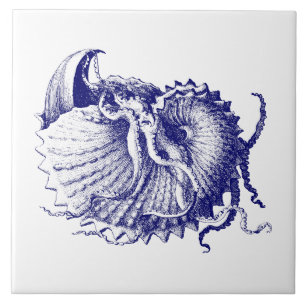 Sea shell Nautilus Blue & White Ceramic Tile