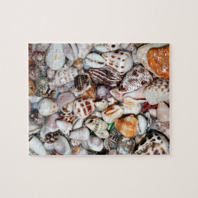 sea shell puzzle (Horizontal)
