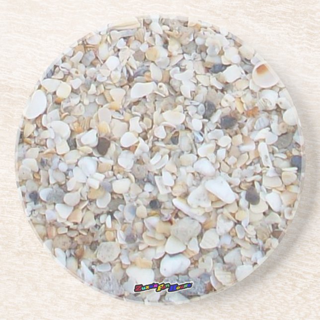 Sea Shell Sandstone Coaster (Front)