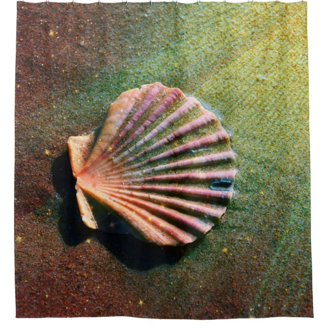 Sea Shell Shower Curtain (Front)