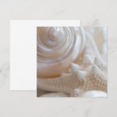 Sea Shell & Starfish Background - Beach Shells (Front/Back)
