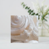 Sea Shell & Starfish Background - Beach Shells (Standing Front)