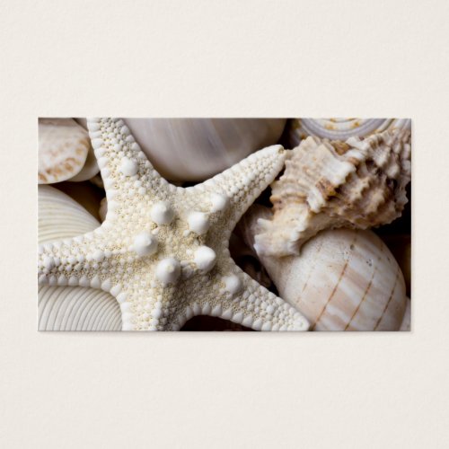 Sea Shell Starfish Background - Beach Shells Business Card Templates