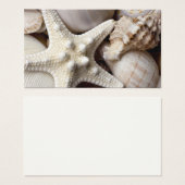 Sea Shell Starfish Background - Beach Shells (Front & Back)