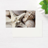 Sea Shell Starfish Background - Beach Shells (Desk)