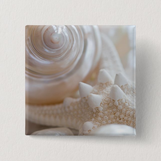Sea Shell & Starfish Background - Beach Shells Button (Front)