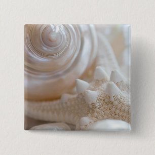 Sea Shell & Starfish Background - Beach Shells Button