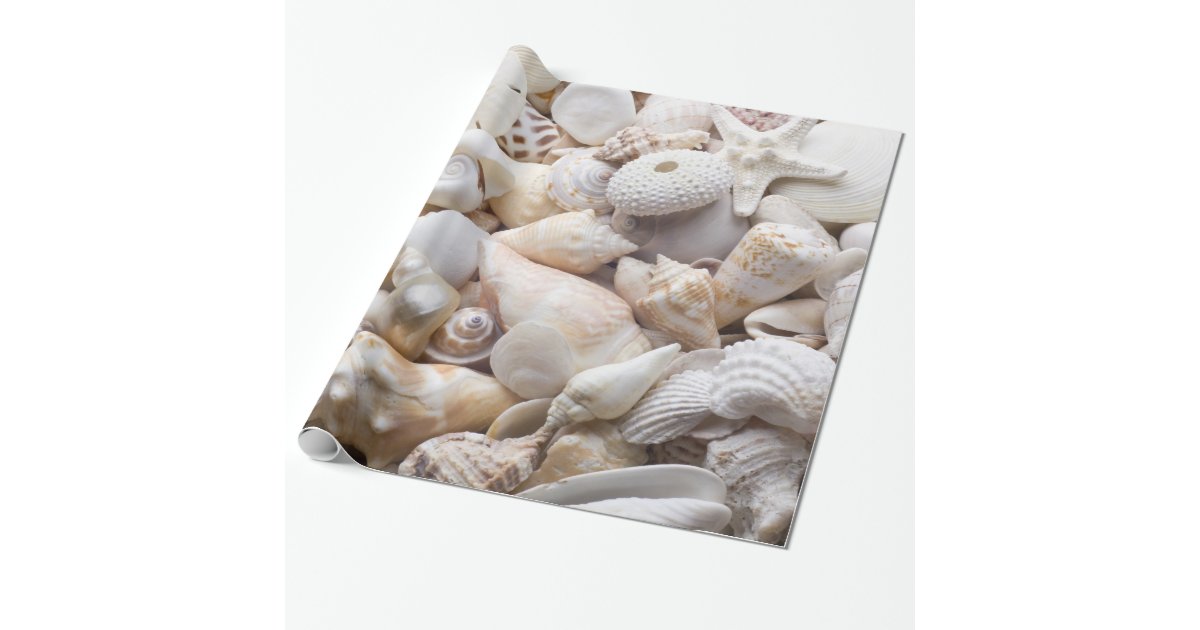 Sea Shell & Starfish Background - Beach Shells Wrapping Paper | Zazzle