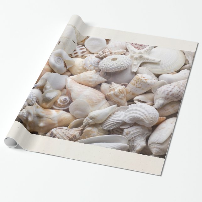 Sea Shell & Starfish Background - Beach Shells Wrapping Paper (Unrolled)