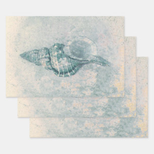 Sea Shell Teal Beige Vintage Ocean Beach Texture Wrapping Paper Sheets