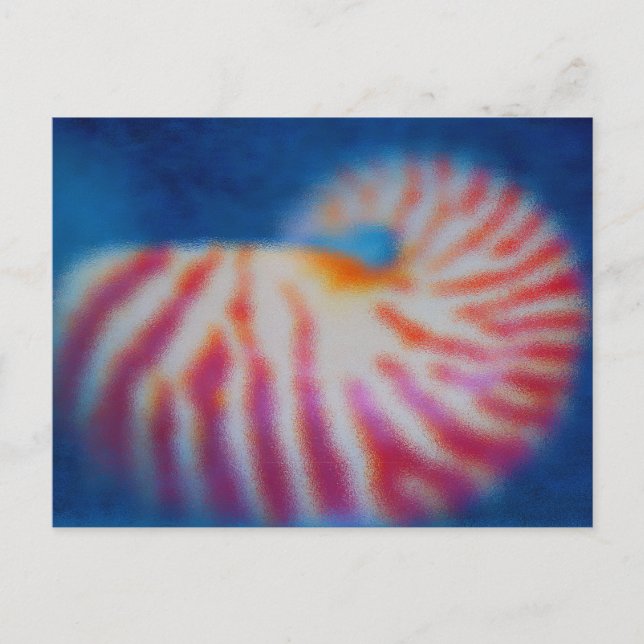 Sea Shell under Water Postcard (Front)