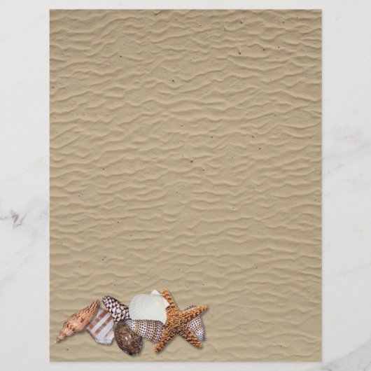 Sea shells (Front)