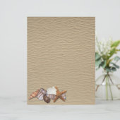 Sea shells (Standing Front)