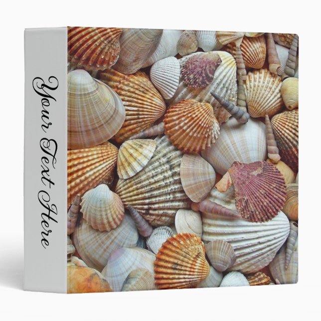 Sea Shells 3 Ring Binder (Front/Spine)