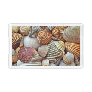 Sea Shells Acrylic Tray