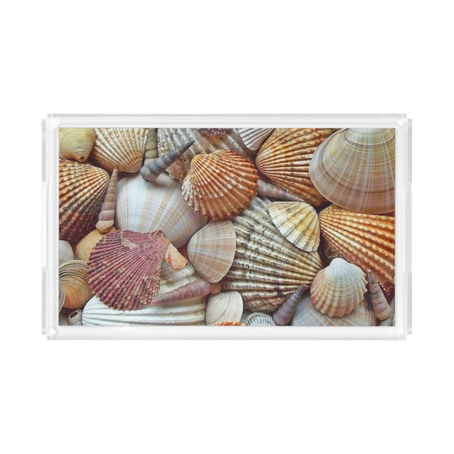 Sea Shells Acrylic Tray (Front)