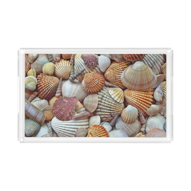 Sea Shells Acrylic Tray (Front)