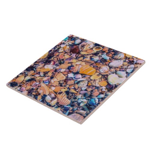 Sea Shells and Pebbles Ceramic Tile