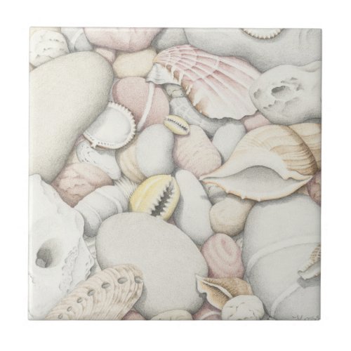 Sea Shells and Pebbles in Colored Pencil Tile