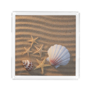 Sea Shells And Starfish Acrylic Tray