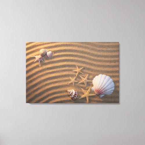 Sea Shells And Starfish Canvas Print