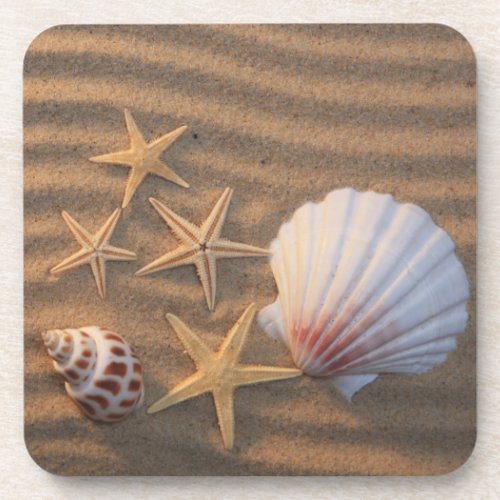 Sea Shells And Starfish Coaster