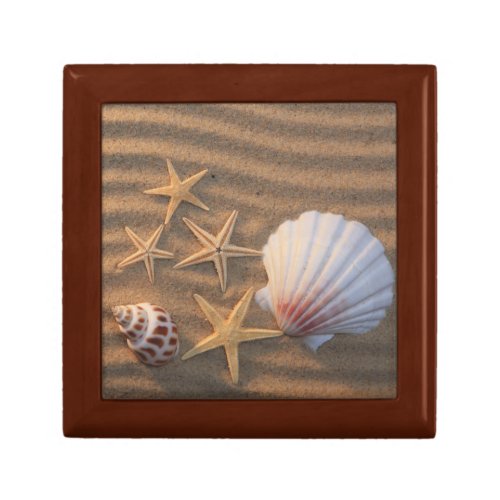 Sea Shells And Starfish Keepsake Box