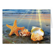 Sea shells and starfish on beach (Front Horizontal)