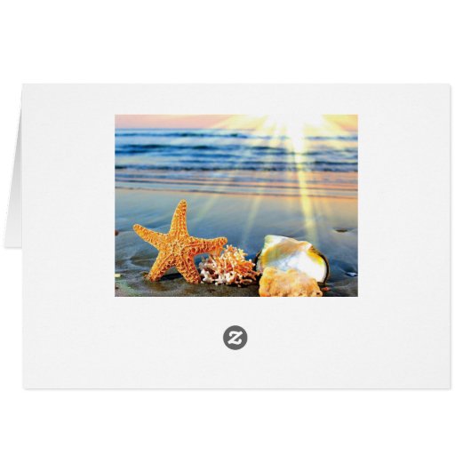 Sea shells and starfish on beach (Back Horizontal)