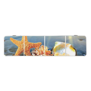 Sea shells and starfish on beach beer pong table