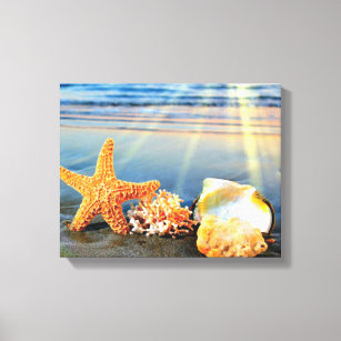 Sea shells and starfish on beach canvas print
