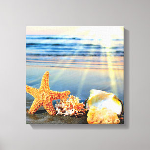 Sea shells and starfish on beach canvas print