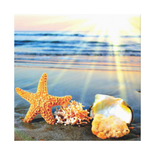 Starfish and Sea Shells III print by Editors Choice