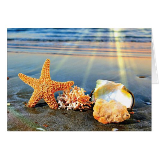 Sea shells and starfish on beach cards (Front Horizontal)