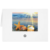 Sea shells and starfish on beach cards (Back Horizontal)