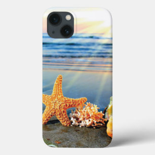 Sea shells and starfish on beach iPhone 13 case