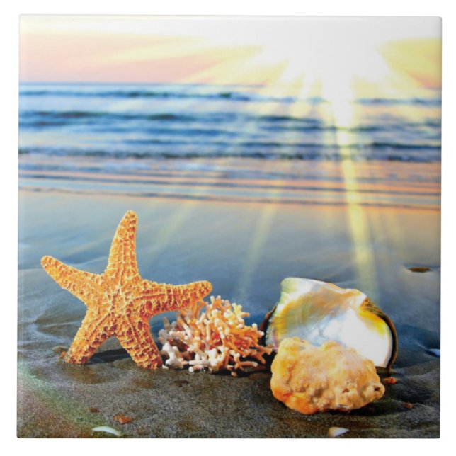 Sea shells and starfish on beach ceramic tile (Front)