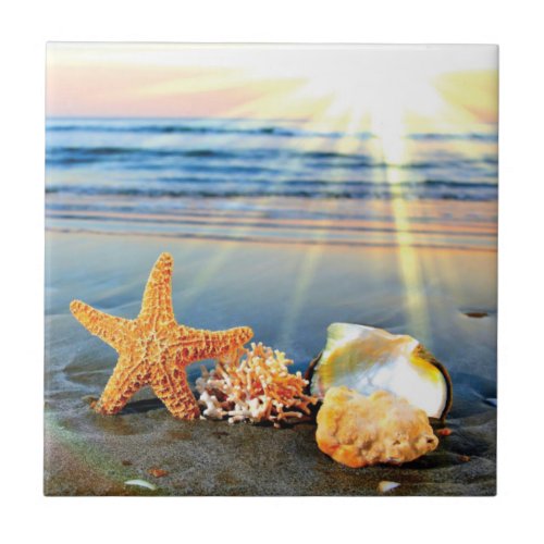 Sea shells and starfish on beach ceramic tile