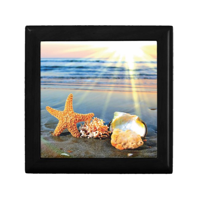 Sea shells and starfish on beach gift box (Front)