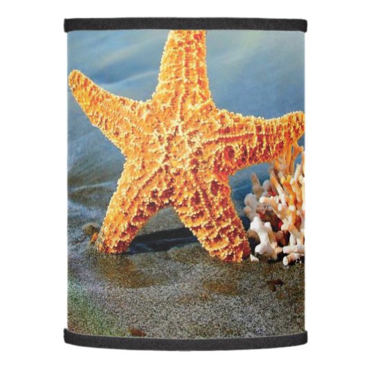 Sea shells and starfish on beach lamp shade (Left)
