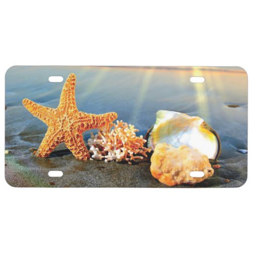 Sea shells and starfish on beach license plate