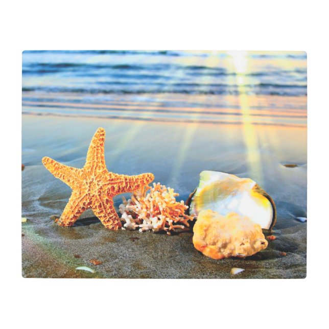 Sea shells and starfish on beach metal print (Front)